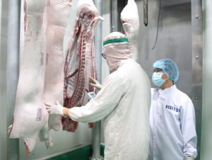 26 cơ sở thịt heo tại Gia Lai được chứng nhận an toàn