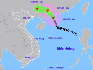 Quảng Ninh: Tạm ngừng cấp phép tàu tại khu vực biển miền Đông của tỉnh