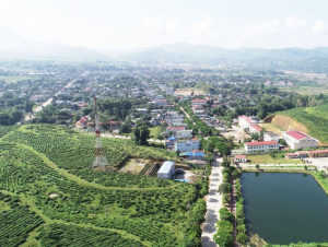 Xã Tân Uyên: Phát triển nông nghiệp du lịch xanh – xây dựng thương hiệu nhãn hiệu tập thể