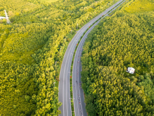  HDBank Green Marathon 2025 mở lối “đường chạy xanh” độc đáo