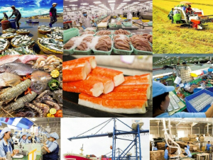 Chỉ thị của Thủ tướng Chính phủ về việc thực hiện các nhiệm vụ, giải pháp trọng tâm thúc đẩy xuất khẩu, phát triển thị trường ngoài nước