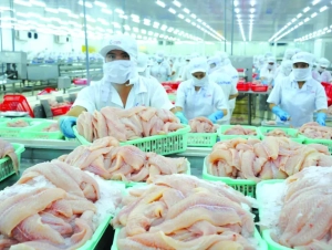 Cá tra Việt Nam xuất hiện trong thực đơn Nhật