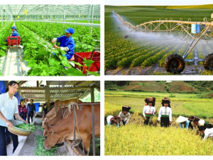 Cơ hội để nông nghiệp, nông thôn phát triển