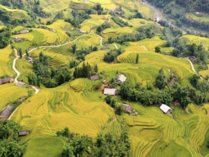 Việt Nam lọt top 10 điểm đến hấp dẫn nhất du lịch thế giới