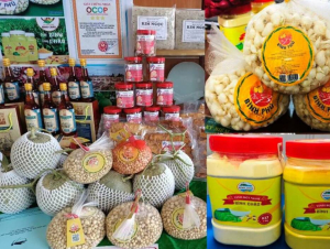 Hơn 17.000 sản phẩm OCOP đạt từ 3 sao