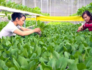 Cơ chế  “chìa khóa” đón đầu xu thế kinh tế tuần hoàn với doanh nghiệp Việt