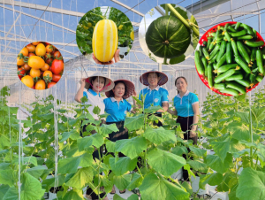 Nữ cán bộ đánh thức tiềm năng vùng gió Lào, cắt trắng