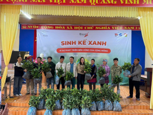 Trao 16.000 cây quế giống sinh kế đồng hành cùng các hộ gia đình khó khăn phục hồi sau bão lũ