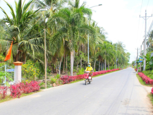 Thúc đẩy xây dựng nông thôn mới hiện đại, phát triển bền vững