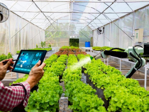 Gỡ 'hòn đá tảng' cản bước HTX chuyển đổi số