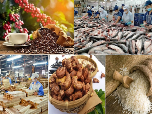 Xuất khẩu nông lâm thủy sản tăng trưởng bứt phá, kỳ vọng “về đích” với 70 tỷ USD