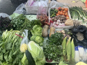 Mưa lũ kéo dài, giá thực phẩm đẩy CPI tháng 10 tăng nhẹ