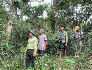 Lợi ích của ERPA với công tác bảo vệ rừng tại Ban quản lý Khu bảo tồn thiên nhiên (BTTN) Pù Huống