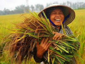 Ngành nông nghiệp triển khai kế hoạch giảm phát thải trong trồng trọt đến năm 2050