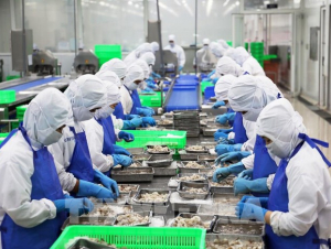 Xuất khẩu thủy sản năm nay có thể cán mốc 11 tỷ USD