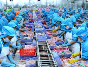 Thủy sản Việt Nam giữ vững tăng trưởng tại Nhật Bản