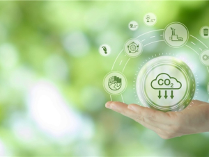 Doanh nghiệp Việt tăng đầu tư cho phát triển bền vững