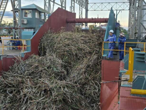 Nhà máy Đường An Khê vào vụ ép mới