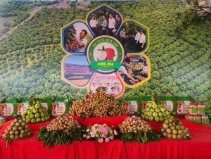 Xã Phúc Hòa đẩy nhanh tiến độ hoàn thiện hồ sơ OCOP - Khẳng định chất lượng đặc sản địa phương