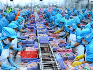 Xuất khẩu Nông, Lâm, Thuỷ sản 2025: Có đà tăng, doanh nghiệp bớt lo về đầu ra