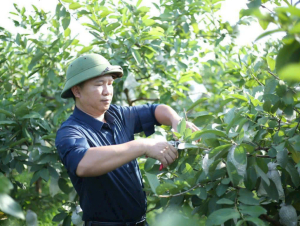 Từ phế phẩm nông nghiệp - nâng tầm thành sản phẩm OCOP