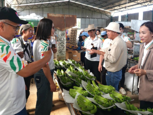 Bí quyết của bầu Đức, đưa HAGL hồi sinh sau một thập kỷ