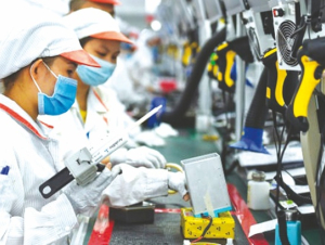 Thưởng Tết 2026 cho người lao động như thế nào?