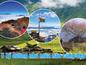 Y Tý “mỏ vàng” chờ khai phá