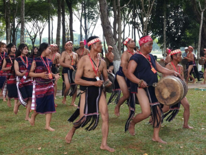 Năm 2026, Gia Lai đặt mục tiêu đón 15 triệu lượt khách du lịch