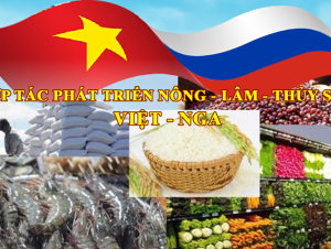 Kỳ 1:  Bức tranh tổng thể và động lực tăng trưởng mới