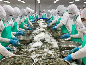 Thủy sản đặt mục tiêu xuất khẩu 11,5 tỷ USD năm 2026, chuyển hẳn sang tư duy kinh tế ngành