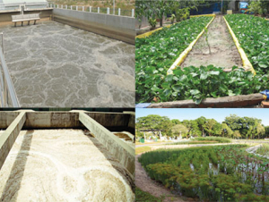 Miễn phí bảo vệ môi trường đối với nước thải từ sản xuất nông nghiệp