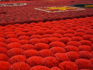 Giữ lửa nghề trăm năm giữa nhịp sống hiện đại