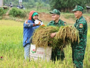 Triển khai Đề án giáo dục, tuyên truyền về Quân đội tham gia lao động sản xuất trên phạm vi cả nước