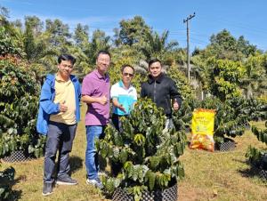 Phú Mỹ bén duyên với cao nguyên Bolaven - hành trình kiến tạo giá trị bền vững cho cà phê Lào