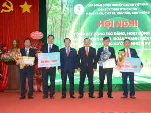 Bốn công ty cao su tại Gia Lai bứt phá lợi nhuận trong năm 2025