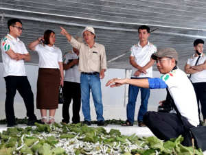 Tổng tài sản của HAGL vượt 1 tỷ USD, lợi nhuận cao kỷ lục 