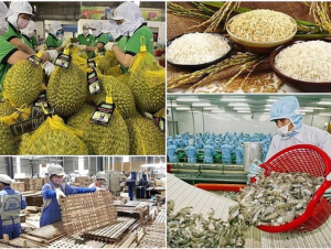 Tháng 1 xuất khẩu nông, lâm, thủy sản tăng gần 30%