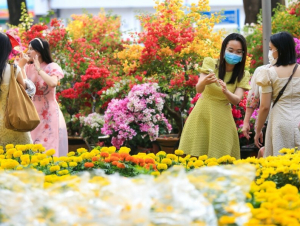 ROX Living Diễn Châu: Điểm hẹn lễ hội và không gian sống – kinh doanh mới của Bắc Nghệ An