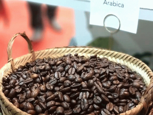 Lào đưa vào vận hành nhà máy rang cà phê bằng hydro đầu tiên tại châu Á