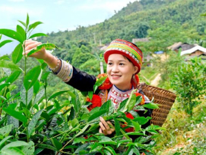 Từ áp lực sụt giảm đến cơ hội tái định vị giá trị năm 2026