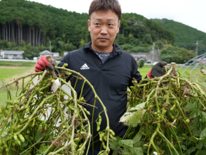 Panasonic phát triển chế phẩm sinh học giúp cây trồng tăng hấp thụ CO₂, hướng tới thị trường tín chỉ carbon