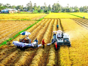 Hợp tác khu vực - “Chìa khóa” giảm phát thải khí nhà kính trong nông nghiệp