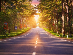 Sun Group đề xuất đầu tư 25.100 tỉ đồng làm cao tốc 'đánh thức' Măng Đen