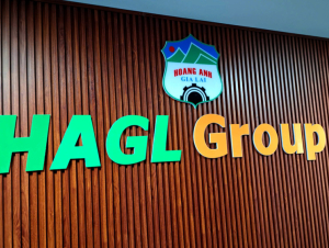 Bầu Đức rót hơn 14.000 tỉ đồng, quyết làm chủ vùng cà phê lớn nhất thế giới