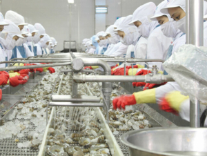 Xuất khẩu chuyển dịch từ lượng sang chất