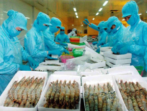 Thủy sản Việt xoay trục khi Mỹ siết chuẩn