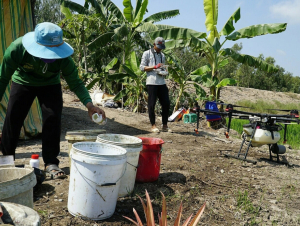 Giá thuốc bảo vệ thực vật tại Indonesia có thể tăng tới 30% do xung đột Trung Đông
