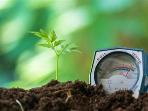 5 giải pháp giúp nông dân nâng cao hiệu quả sản xuất trong bối cảnh chi phí gia tăng