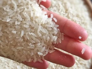 Việt Nam đề nghị EU sửa đổi danh mục gạo thơm ưu đãi thuế